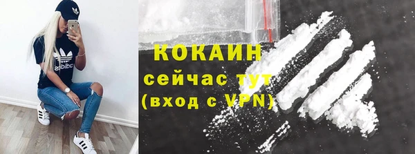 меф Вяземский
