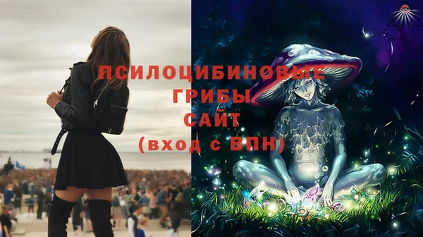 дурь Вязники