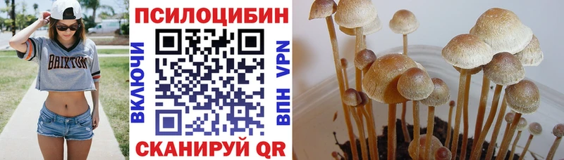 Купить где  Заполярный  Псилоцибиновые грибы ЛСД 