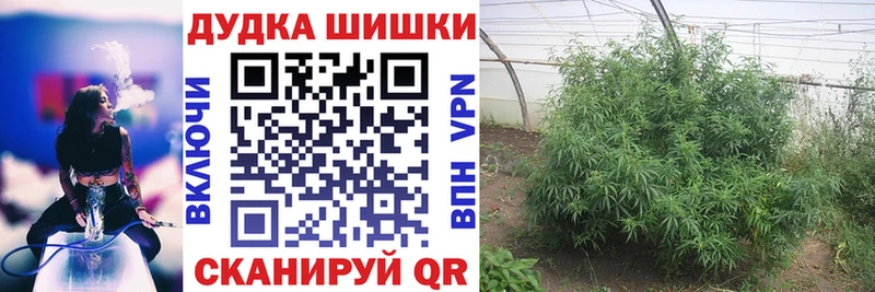 Купить закладки  Заполярный  Марихуана гибрид 